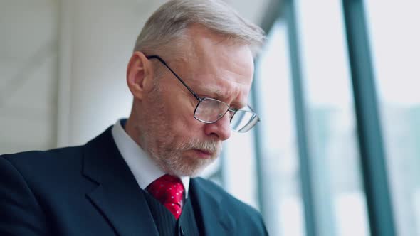 Portrait of a senior businessman near the window. 