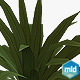 Low Poly Grass - 3DOcean Item for Sale