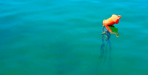 Buoy on the Water