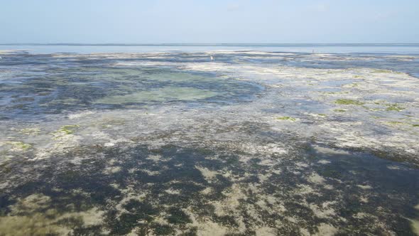 Shore of Zanzibar Island Tanzania at Low Tide Slow Motion