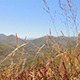 Wind Blowing Through Grass On a Mountain - VideoHive Item for Sale