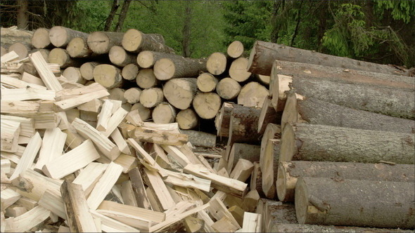Big Logs Cut Into Small Pieces