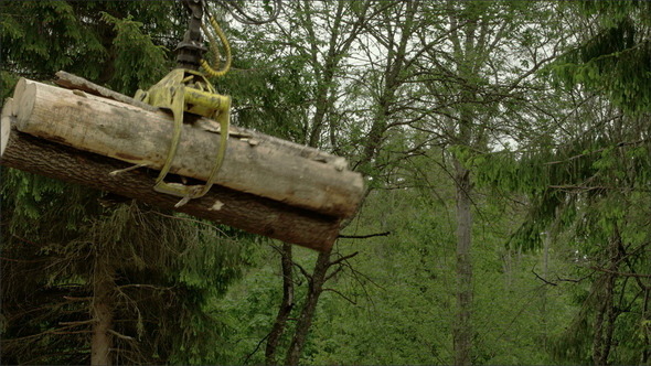 A Large Crane Tranferring Logs