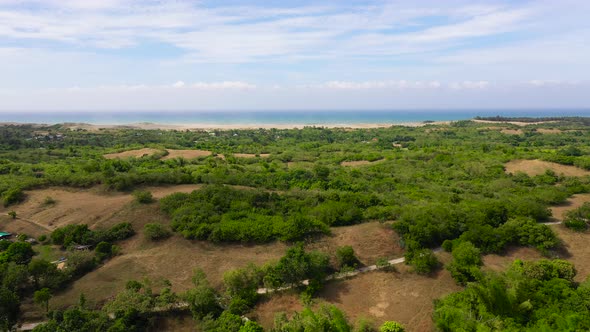 Landscape with Tropical Trees and the Ocean in the Distance Aerial View