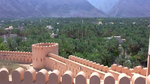 Nakhal, Aerial view of Nakhal Palm Trees, Oman