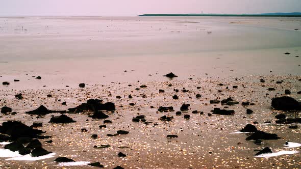 migratory waterbirds Wadden Sea intertidal meander outflow Sehaal Striep MEDIUM