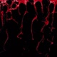 Red Streams On Black - VideoHive Item for Sale