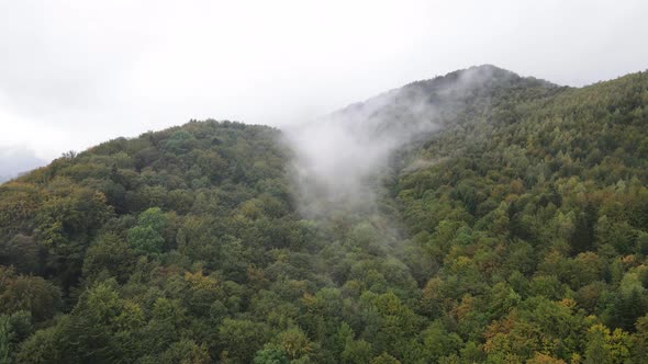 Aerial View of the Carpathian Mountains in Autumn. Ukraine