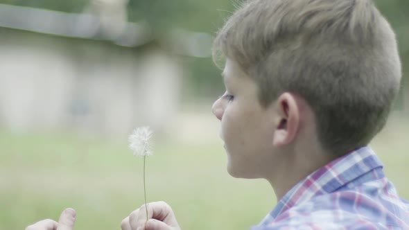 Boy blowing dandelion seedhead, slow motion