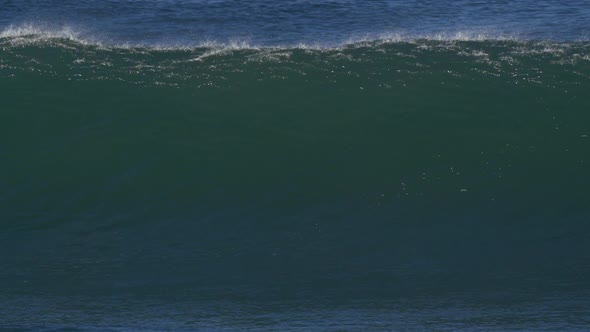 Waves break in surf line.
