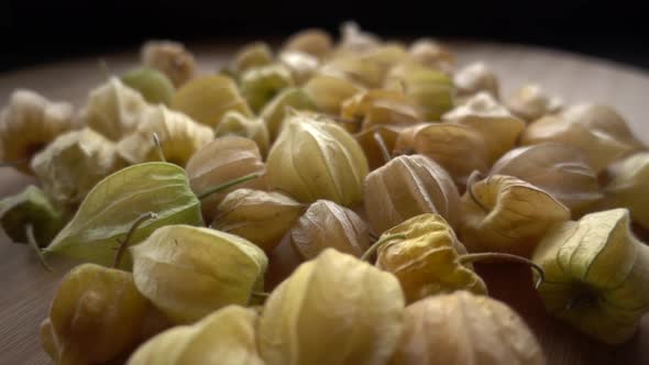 Physalis