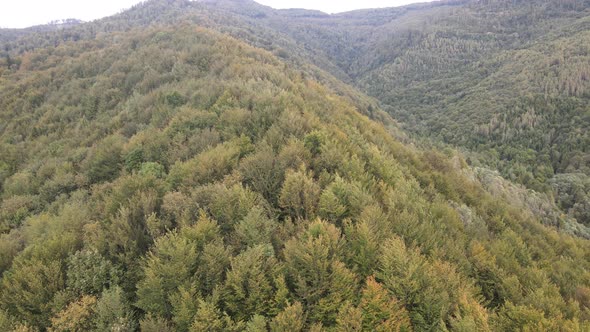 Nature of Ukraine: Carpathian Mountains Slow Motion. Aerial View