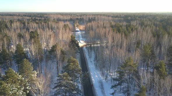 Camera Rises Over Track with Running Athlete in Snowy Wood