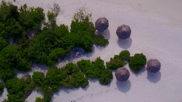 Aerial drone nature of exotic coast beach wildlife by ocean and sand background