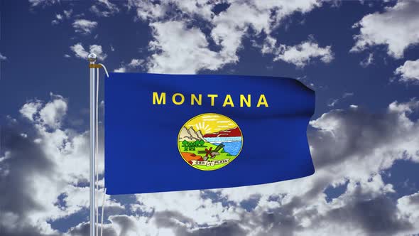 Montana Flag Waving 4k