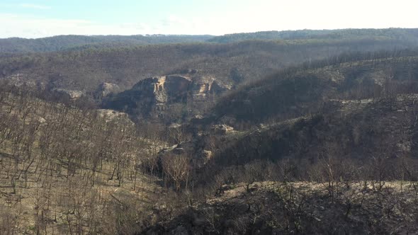 Aerial footage of forest regeneration after severe bushfires in The Blue Mountains in Australia