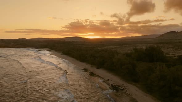 Drone aerial footage of ocean waves caressing beach with forest, golden sunset in Kauai, Hawaii, USA