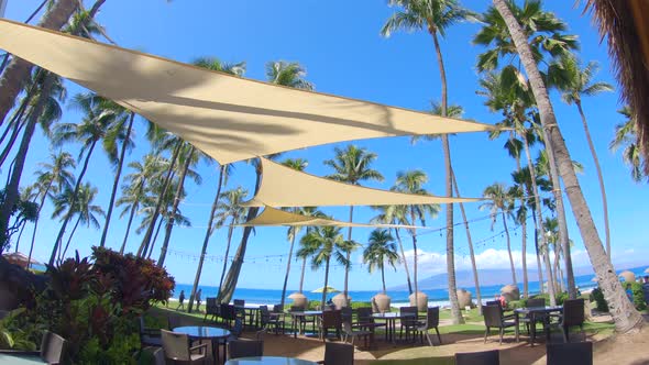 Shade sails and palm trees provide shade in Maui, Hawaii.