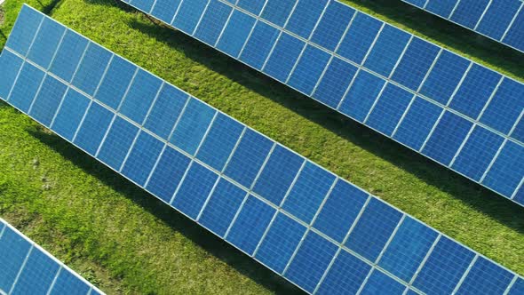 Aerial Top View of Solar Panels Farm (Solar Cell) with Sunlight