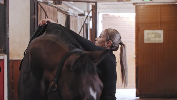 Woman with Ponytail Puts on a Saddle on a Brown Horse on a Farm