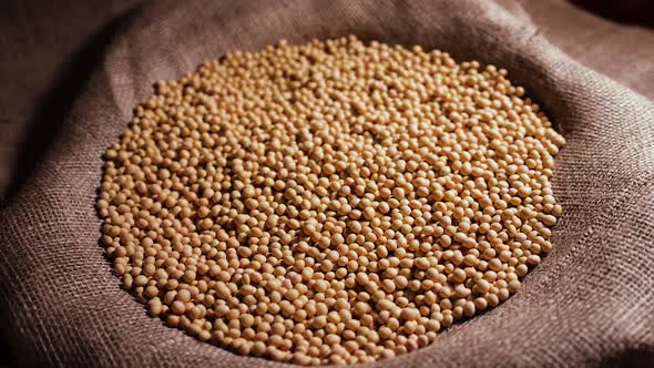 Bag with Soybeans Readymade Raw Seed Material Natural Organic Protein Product Meat Substitute