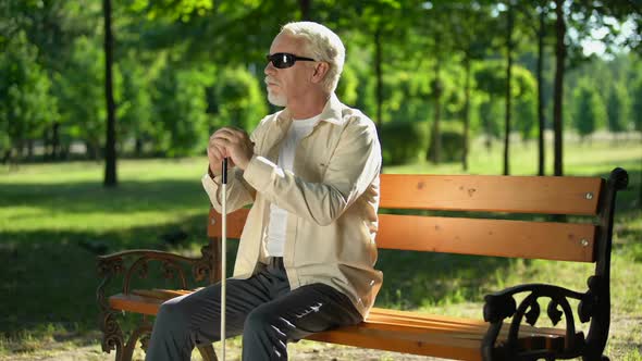 Blind Man Sitting on Bench, Listening for Sounds in Park, Heightened Senses