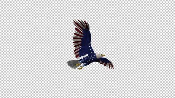 American Eagle - USA Flag - Flying Transition - I - 4K