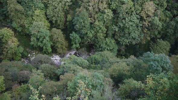 Green natural canyon full of trees