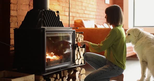 Young Woman Throws Firewood Into Fireplace Relaxing with Her Dog at Home