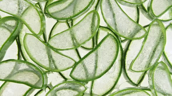 Closeup Aloe Vera Sliced Slice