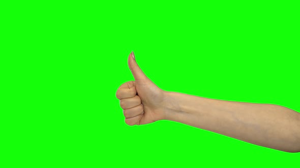 Arm of Woman Showing Thumb Up, Chroma Key