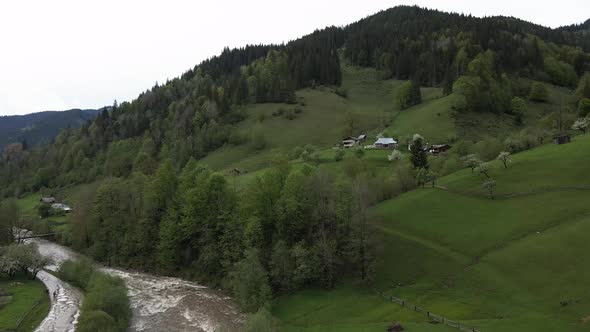 Ukraine, Carpathian Mountains: Beautiful Mountain Forest Landscape. Aerial