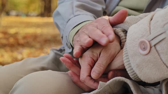 Closeup Elderly Married Couple Gently Stroking Hands of Each Other Romantic Date in Autumn Park Aged