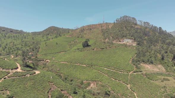 Tea plantation estate, Munnar, Kerala, India. Aerial panoramic view