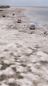 Vertical Video of Low Tide in the Ocean Near the Coast of Zanzibar Tanzania