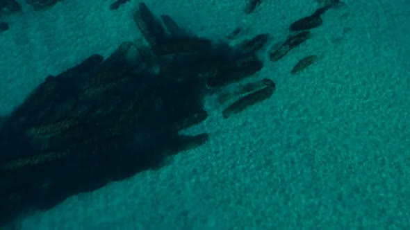 Aerial view of an artificial reef created to protect the coastline of a city