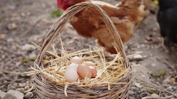 Close Up of Freerange Eggs