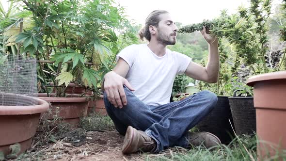 Young Caucasian Man Appreciating His Marijuana Plants in Hidden Garden in Slow Motion