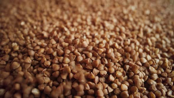 A Heap of Fried Buckwheat Grains