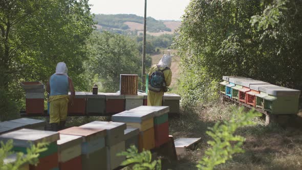 beekeepers working on bee hives - field work of honey production