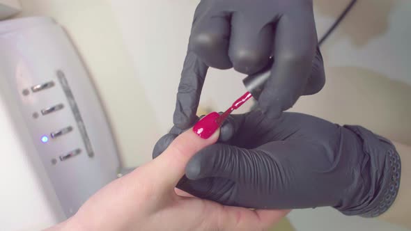 Hands of Manicurist Applies Shellac To the Client