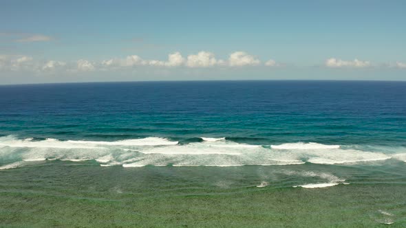 Waves Crashing on a Coral Reef alt