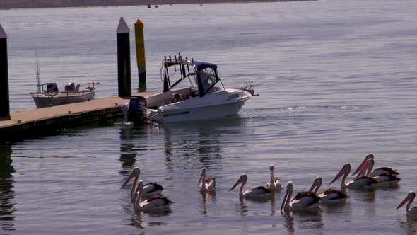 fisherman reversing his watercraft boat into a jetty with other smaller boats moored to the dock whi