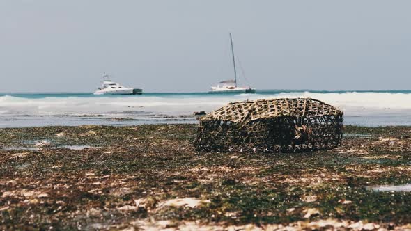 African Trap for Catching Fish and Starfish in Shallow Water Low Tide Zanzibar