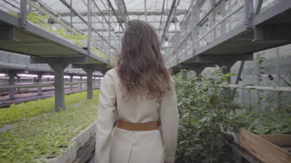 Beautiful Caucasian Woman Turning From Camera and Walking Along Rows of Green Plants in Glasshouse