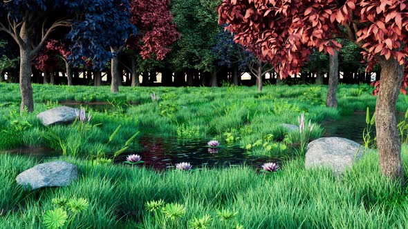 Forest Background