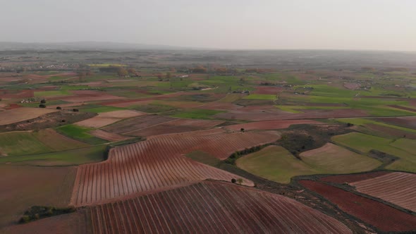 Cultivated field from above