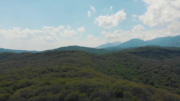 Arial Shoot Wild Walnut Forest in Jalal-abad Province Kyrgyzstan.