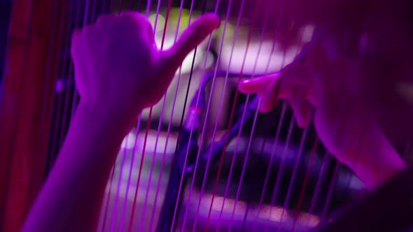 The Woman Plays the Harp. Close-up