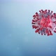 3D Render Microscope View of Coronavirus COVID19 - VideoHive Item for Sale